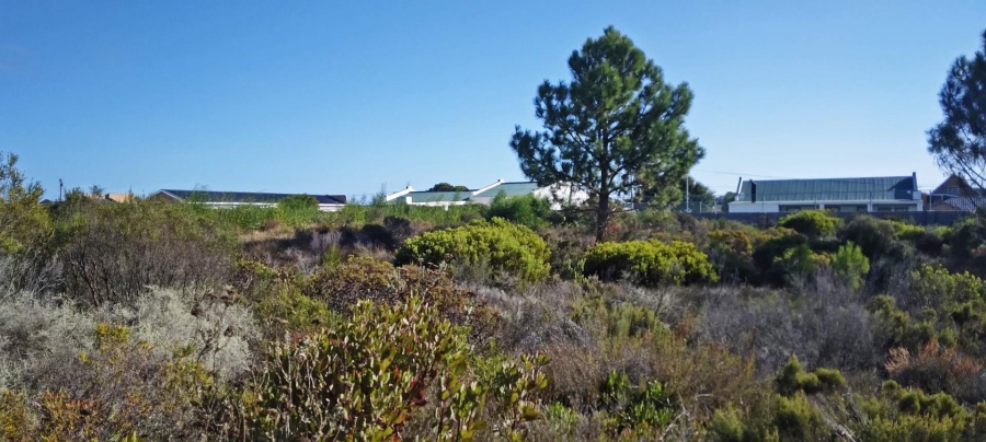 0 Bedroom Property for Sale in Fisherhaven Western Cape